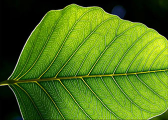 ddos压力在线测试平台