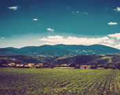 ddos压力在线测试平台